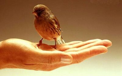 TODO MOMENTO ES BUENO