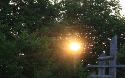 PRESENTE PERO… A SU MANERA