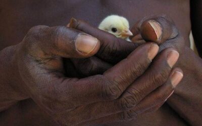 Yo seré tu descanso…