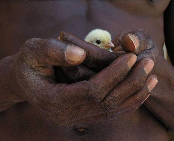 Yo seré tu descanso…