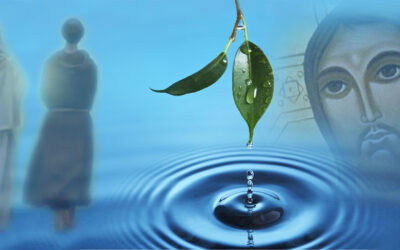 ¿QUE NOS DECÍS FRANCISCO Y CLARA DE ASÍS?