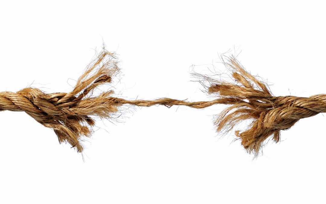 MIRAR DENTRO, FUERA…