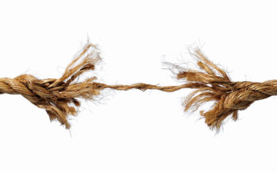 MIRAR DENTRO, FUERA…