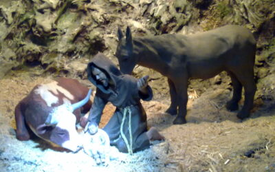 GRECCIO-BELÉN: MIRADA NUEVA