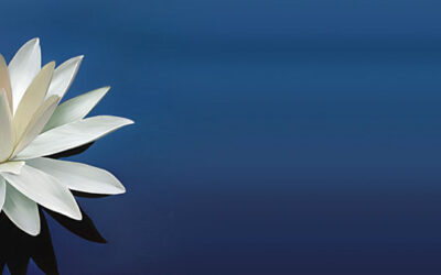 PROTEGER A DIOS DE NOSOTROS MISMOS