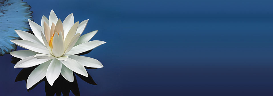 PROTEGER A DIOS DE NOSOTROS MISMOS