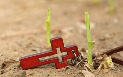 DAR LA VIDA POR EL EVANGELIO…