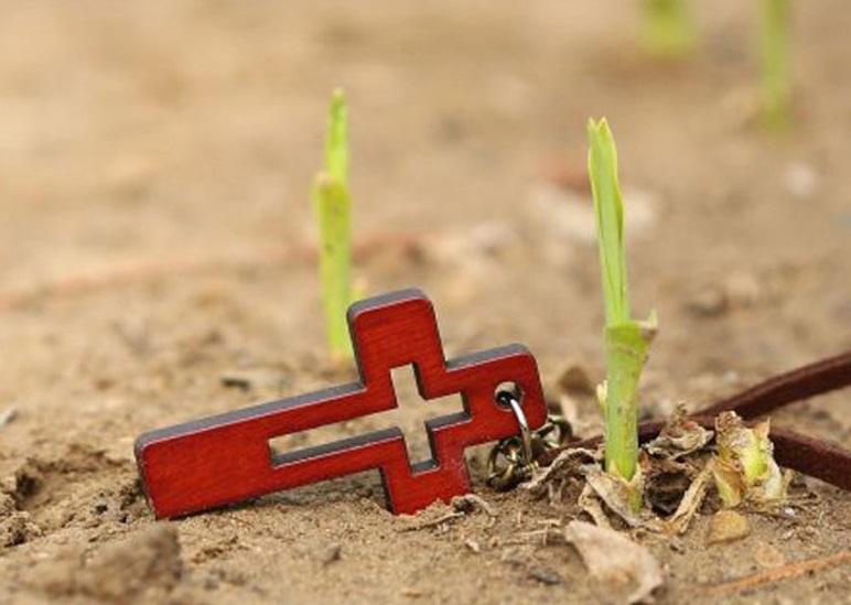 DAR LA VIDA POR EL EVANGELIO…